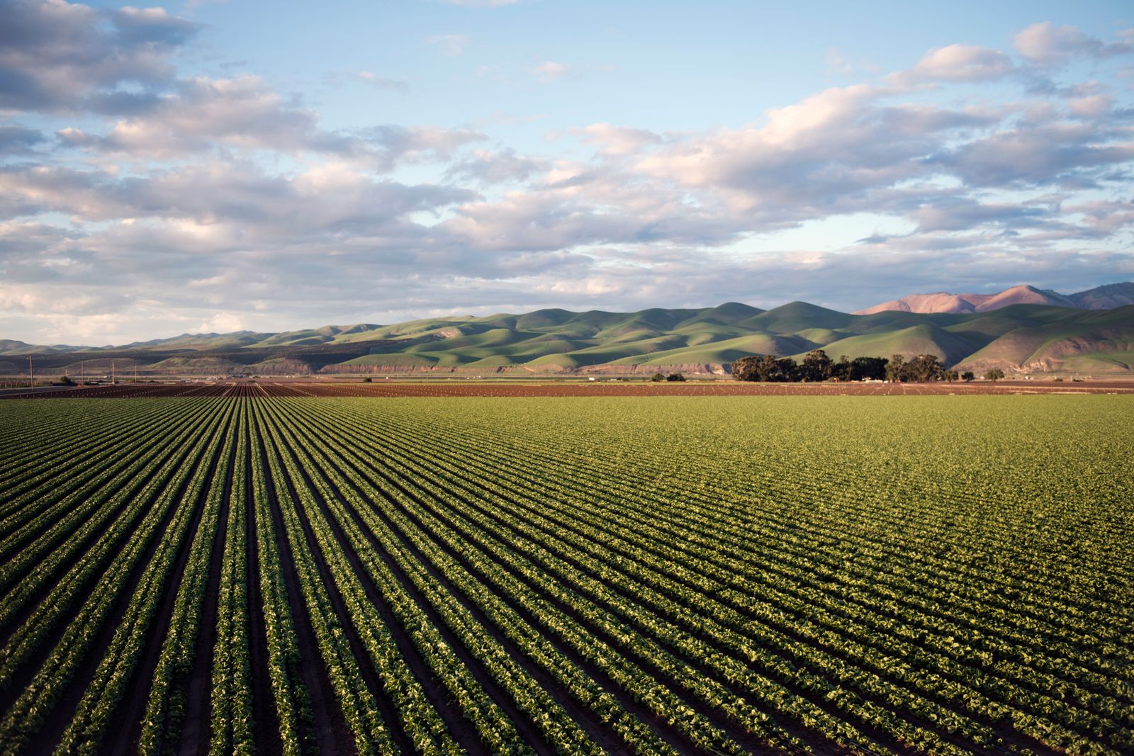 Photo of a green field near mountains